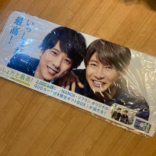 アラシ(嵐)の嵐　非売品　パネル(アイドルグッズ)