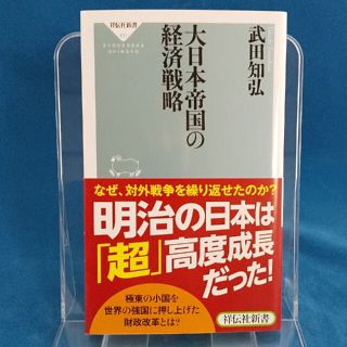 大日本帝国の経済戦略(文学/小説)