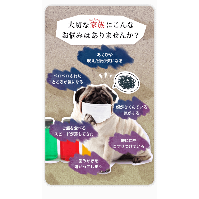 2本セット】ドクターワンデル