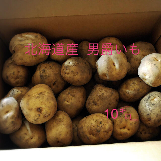 北海道産農家直送じゃがいも 新春セール 食品/飲料/酒の食品(野菜)の商品写真