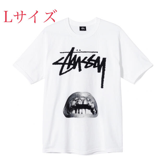 STUSSY　WORLD TOUR COLLECTION ステューシー　Tシャツ