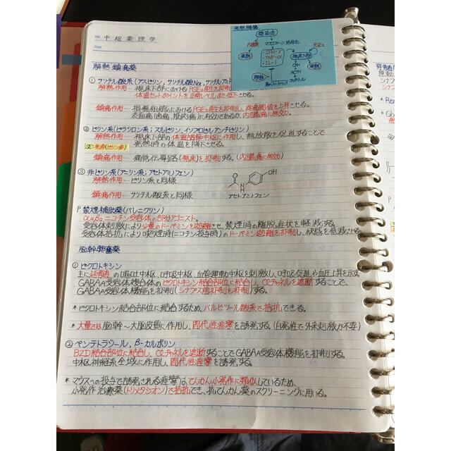 医療系学科定期試験、国家試験対策シリーズ【中枢神経疾患】まとめノート エンタメ/ホビーの本(資格/検定)の商品写真