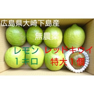 無農薬！広島県大崎下島産 グリーンレモン1キロ&特大レッドキウイ1個 お試しセッ(フルーツ)