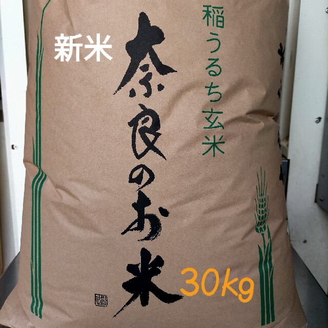 奈良県産ヒノヒカリ(30kg)　米/穀物