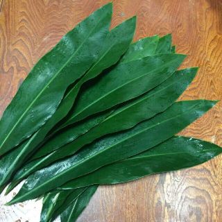 月桃の葉　料理　お茶　美容　薬草　ハーブ　南国　沖縄(野菜)