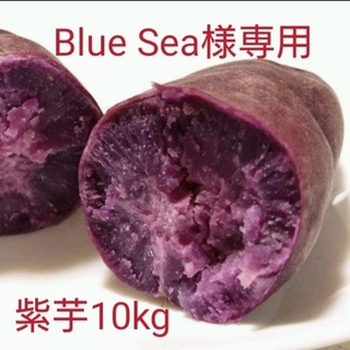 Blue Sea様専用紫芋10kg(野菜)