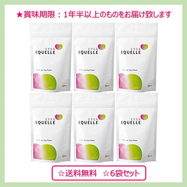 大塚製薬 エクエル パウチ 120粒30日分 ×6袋食品/飲料/酒