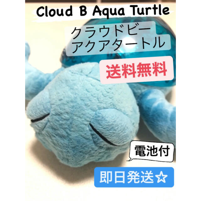 【美品】アクアタートル　クラウドビー　カメ　Cloud B