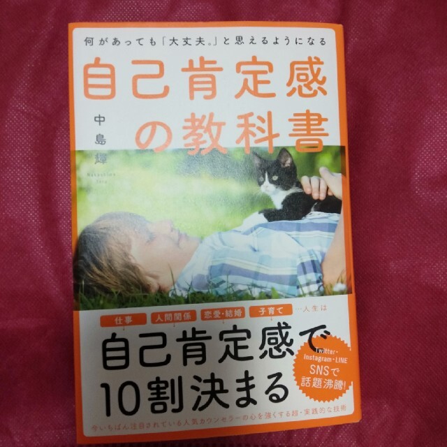 自己肯定感の教科書 何があっても「大丈夫。」と思えるようになる エンタメ/ホビーの本(住まい/暮らし/子育て)の商品写真