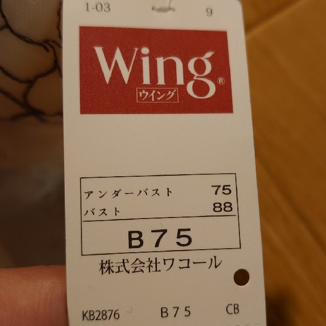 Wing(ウィング)のWing B75 未使用 レディースの下着/アンダーウェア(ブラ)の商品写真