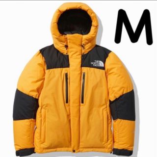 ザノースフェイス(THE NORTH FACE)のThe North Face バルトロ(ダウンジャケット)