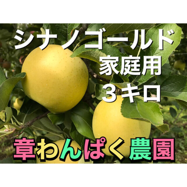 シナノゴールド  家庭用　３キロ　長野県産　減農薬　化学肥料不使用 食品/飲料/酒の食品(フルーツ)の商品写真