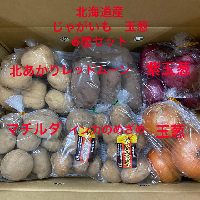 北海道産　じゃがいも　玉葱セット6種 食品/飲料/酒の食品(野菜)の商品写真
