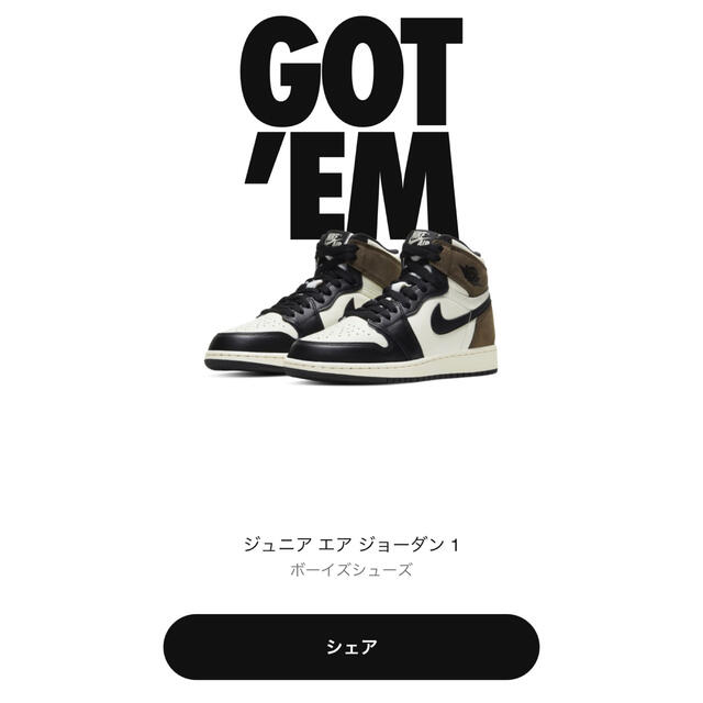 NIKE JORDAN 1 HIGH OG GS SAIL/DARK MOCHAスニーカー