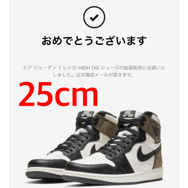 air jordan 1 retro high dark mocha 25.0スニーカー