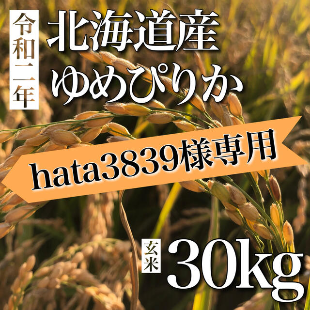 ★hata3839様★専用　北海道産ゆめぴりか 30kg