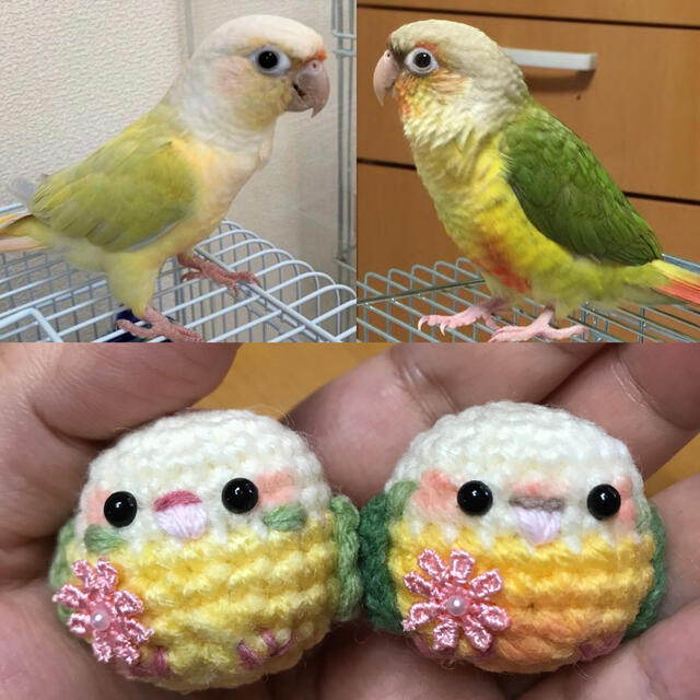 あみぐるみ  インコ ♡キーホルダーorストラップなど