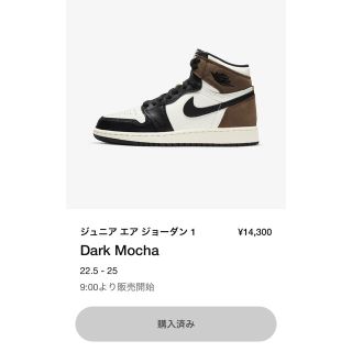 NIKE AIR JORDAN 1 OG GS DARK MOCHA 25