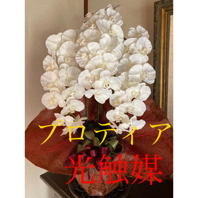 光触媒　人工観葉植物　ウォールグリーン　造花　胡蝶蘭大輪h8148フェイクグリーン