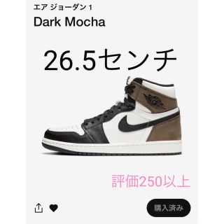 ナイキ(NIKE)のナイキ エアジョーダン1 ダークモカ(スニーカー)