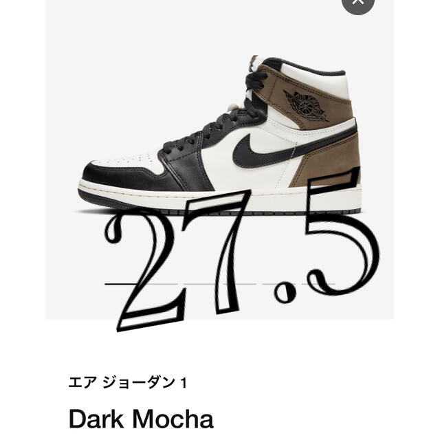 NIKE AIR JORDAN 1  DARK-MOCHA 27.5㎝