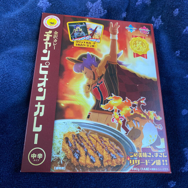 ポケモン(ポケモン)のポケモンセンター カナザワ 金沢カレー チャンピオンカレー ダンデ　 インテリア/住まい/日用品のキッチン/食器(食器)の商品写真