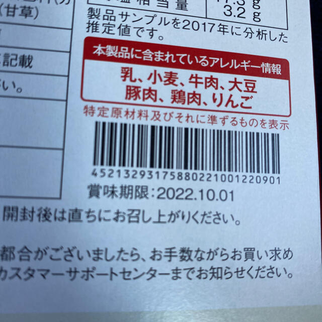 ポケモン(ポケモン)のポケモンセンター カナザワ 金沢カレー チャンピオンカレー ダンデ　 インテリア/住まい/日用品のキッチン/食器(食器)の商品写真