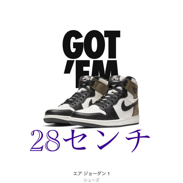 NIKE エアージョーダン1 Dark Mocha