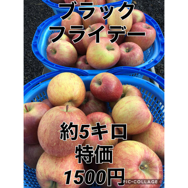 ブラックフライデー　サンふじ★青森県産　訳あり商品 食品/飲料/酒の食品(フルーツ)の商品写真