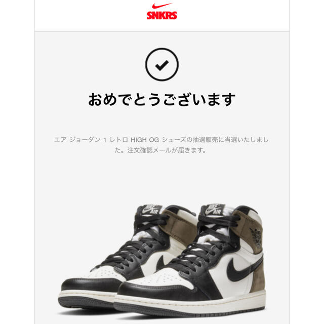 NIKE(ナイキ)の【26.5】AIR JORDAN 1 DARK MOCHA ダークモカ メンズの靴/シューズ(スニーカー)の商品写真