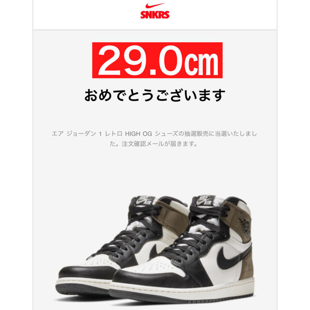 【29.0】AIR JORDAN 1 DARK MOCHA ダークモカ