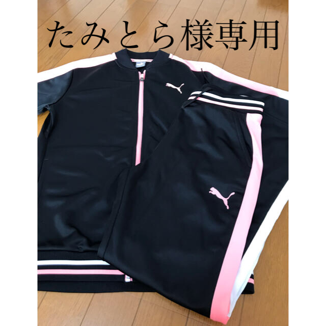 PUMA(プーマ)のPUMA  ジャージ上下セット(160cm) キッズ/ベビー/マタニティのキッズ服女の子用(90cm~)(その他)の商品写真