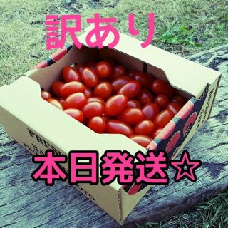 訳ありスイートミニトマト800g(野菜)