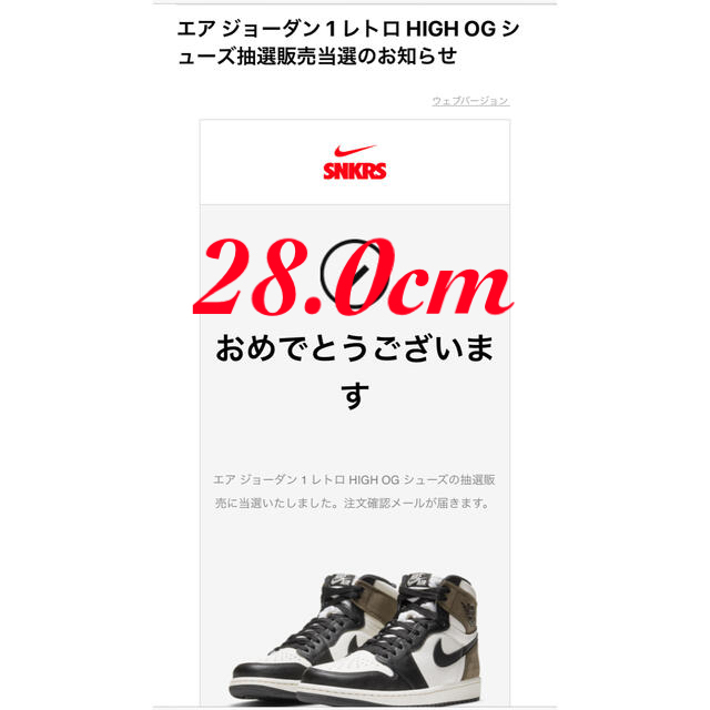 エアジョーダン1 レトロ HIGH OG Dark Mocha