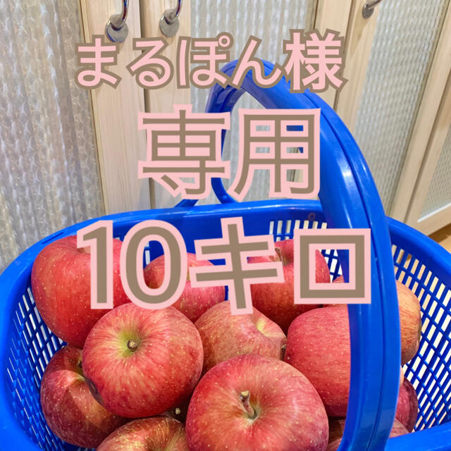 青森　りんご　蜜入　サンふじ　10キロ