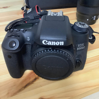 キヤノン(Canon)のCanon EOS8000D (デジタル一眼)