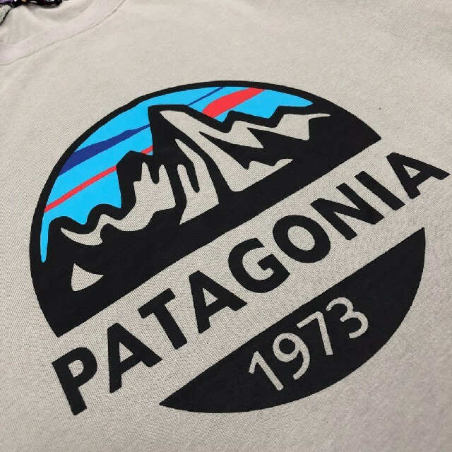 patagonia(パタゴニア)の歳末売り尽くしセール　海外正規品　patagonia　ロンT　グレー　L メンズのトップス(Tシャツ/カットソー(七分/長袖))の商品写真
