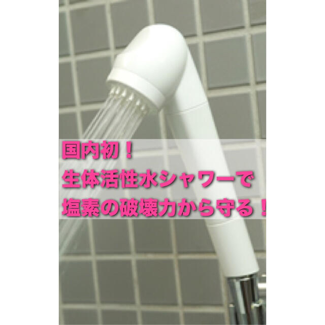 年末特価】ガイアの水 シャワーヘッド 塩素除去 テラヘルツ | www