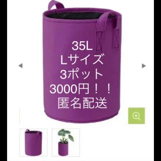 匿名配送！3000円！タカショー　フェルトプランターLサイズ　パープル3個セット(その他)