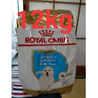 ROYAL CANIN - 新品未開封品☆ ロイヤルカナン ゴールデンレトリバー