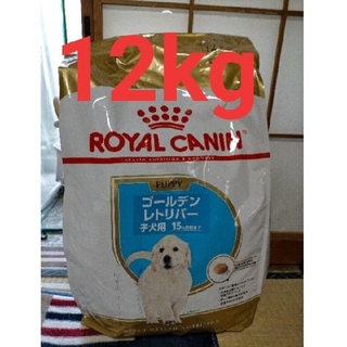 ロイヤルカナン(ROYAL CANIN)の新品未開封品☆　ロイヤルカナン　ゴールデンレトリバー　子犬用　12kg(ペットフード)