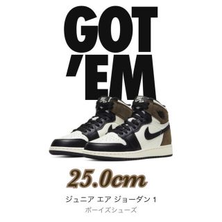 ナイキ(NIKE)の【25.0】NIKE ジョーダン1  ダークモカ　ジュニア(スニーカー)