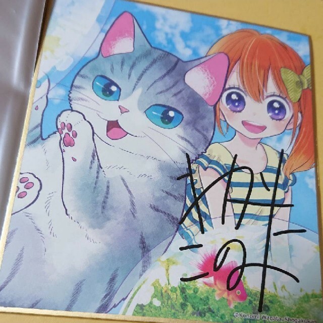 小学館 ねこ はじめました 色紙 ちゃお サマーフェスティバル 環方このみの通販 By Shop ショウガクカンならラクマ 小学館 ねこ はじめました 色紙 ちゃお サマーフェスティバル 環方このみの通販 By Shop ショウガクカンならラクマ