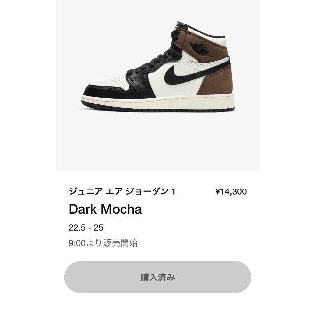 23㎝★NIKE AIR JORDAN1 Dark Mocha