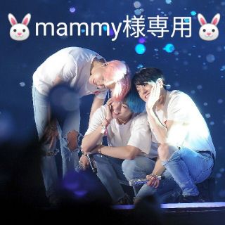 ボウダンショウネンダン(防弾少年団(BTS))の🐰mammy様専用🐰(アイドルグッズ)