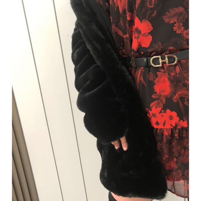 ZARA(ザラ)のザラ ファーコート レディースのジャケット/アウター(毛皮/ファーコート)の商品写真