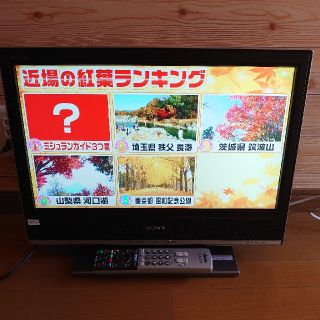 ソニー(SONY)のSONY BRAVIA ２０インチ液晶テレビ　J3000 KDL-20J3000(テレビ)