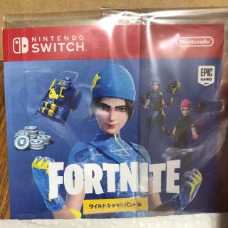 ニンテンドースイッチ(Nintendo Switch)のNintendo Switch Fortnite(その他)