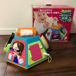 いずなか様専用【おまけ付き】いたずら1歳　やりたい放題(知育玩具)