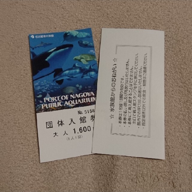 名古屋港水族館 入館券 大人 15枚